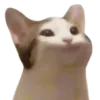 Popcat1 Discord Emoji