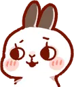 bunny_look bunny_look