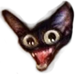 maiden12Cat maiden12Cat