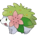 shaymin