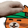 fofi_pet