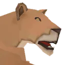 lionness lionness