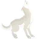 WhiteWolf WhiteWolf