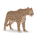 snowleopard snowleopard