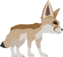 fennec_fox fennec_fox