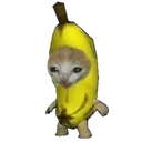 bananacat
