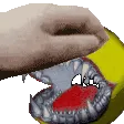 petthexok