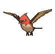 fletchindershiny