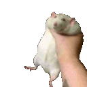 choke