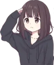 AniSalute