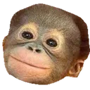 HappyMonkey