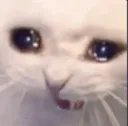 sadge