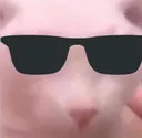 ch_binguscool