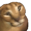 ch_floppagostupid Discord emoji