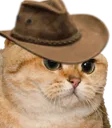 chatpeau chatpeau