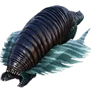 leech leech