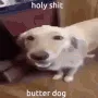 buddadaug