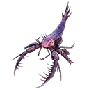 euryp