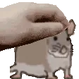 RGRATPAT