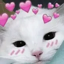 KittyUwU