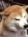 Sad