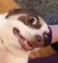 heheh custom emote - Nephthy$