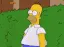 MHSC_HomerDissapear