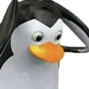 wtf