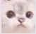 6_cat2