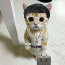 f_wavycat Discord Emoji