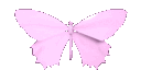 _pinkbutterfly