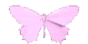 _pinkbutterfly