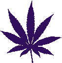 _0WeedPurple