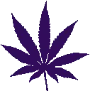 _0WeedPurple