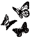 t_butterflies