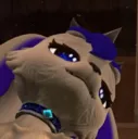 BBblue5 BBblue5