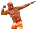 hogan