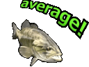 AVG