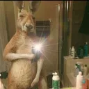 KANGAROODRIP