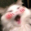 d_Huh Discord emoji