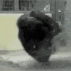 monkedance