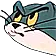 Cho