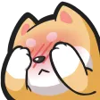shydoge