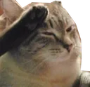 cat_salute cat_salute