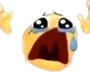 whyyyyyyyy