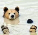 BAERbath
