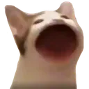 catbaba Discord Emoji