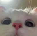 catheyyy