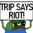 trip
