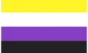 nonbinaryflag